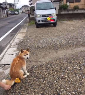 初めまして！