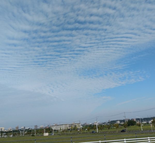 秋の空1