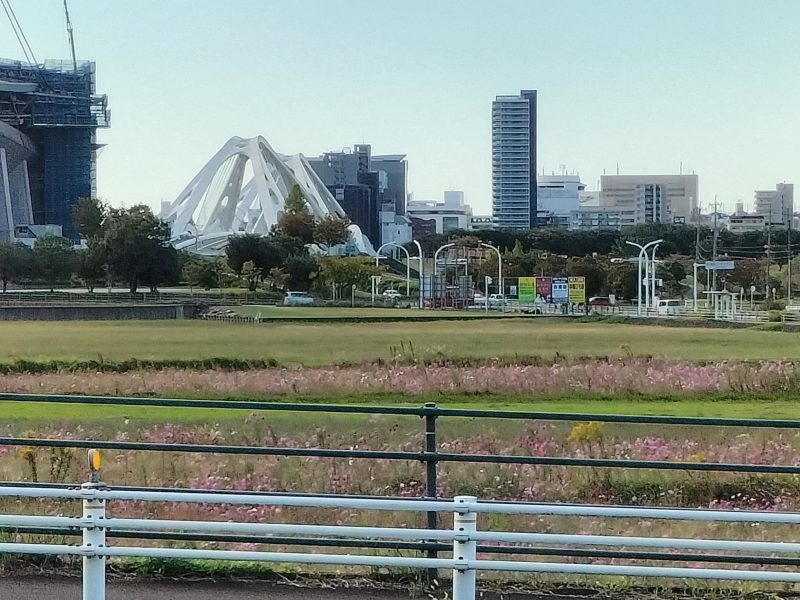 今年もこの季節がやってきました❀