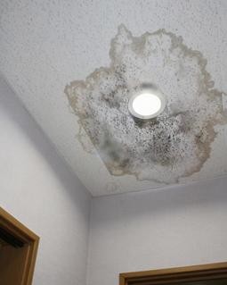 【豊田市】雨漏りを放置すると危険？雨漏りはどこで頼むのが正解か解説